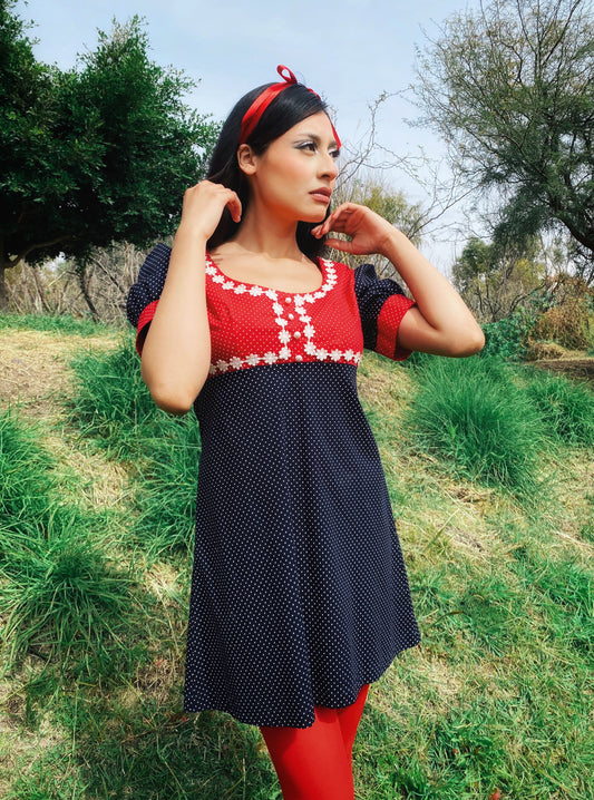 Daisy Trim Minidress in Blue and Red Dots